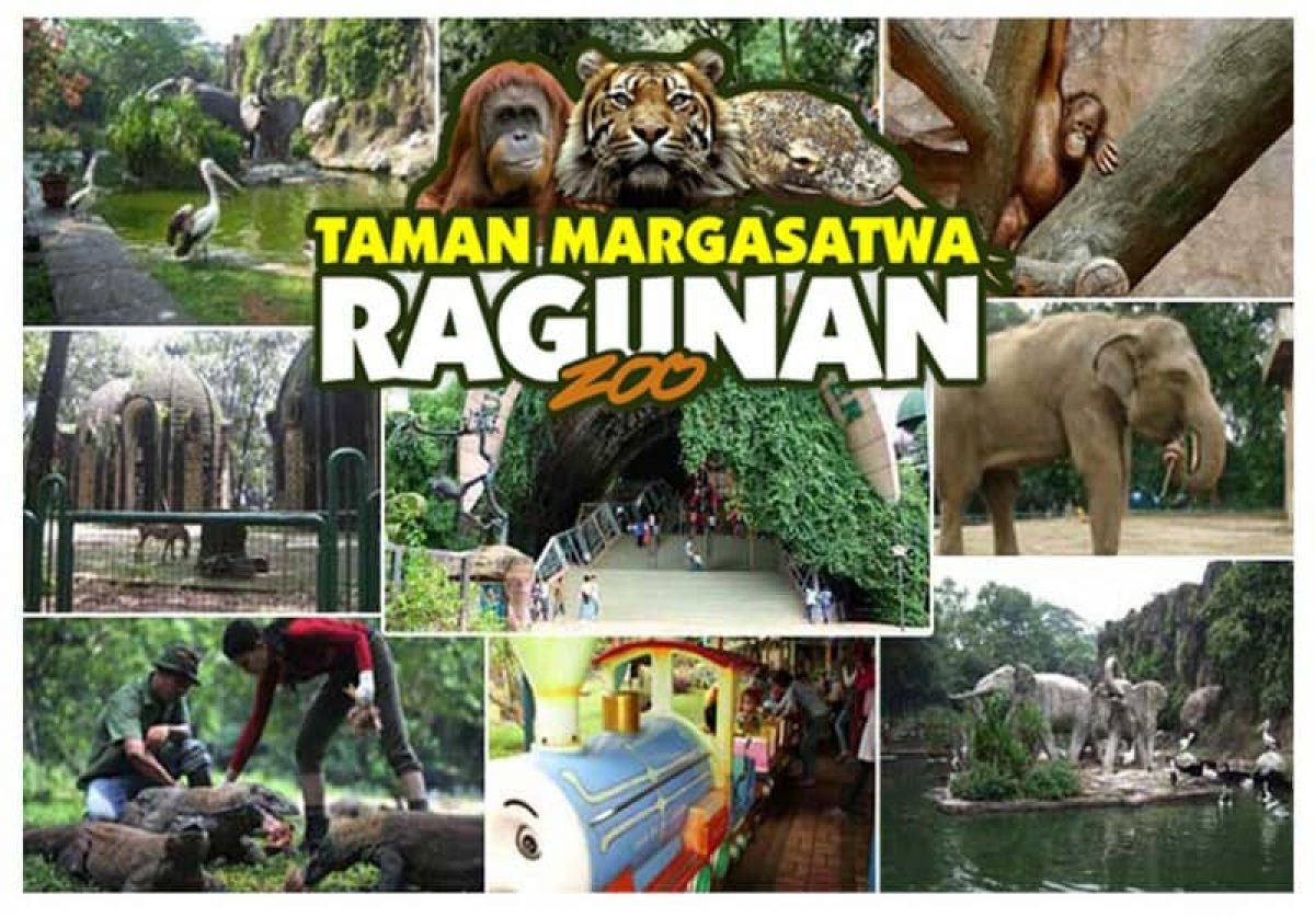 RAGUNAN PREDIKSI BESOK JADI PUNCAK KERAMAIAN LONG WEEKEND